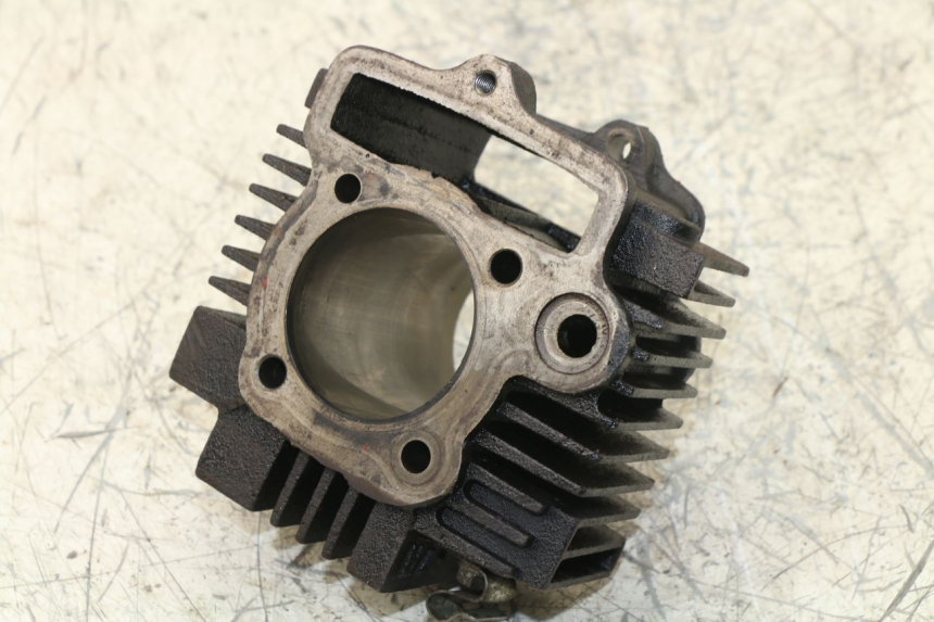 photo de CYLINDER BARREL PANTHERA PANTHERA 110 (2010 - 2017)