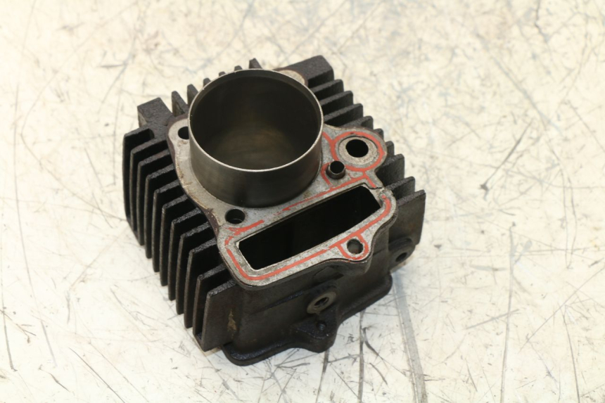 photo de CYLINDER BARREL PANTHERA PANTHERA 110 (2010 - 2017)