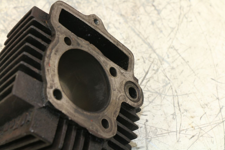 photo de CYLINDER BARREL PANTHERA PANTHERA 110 (2010 - 2017)