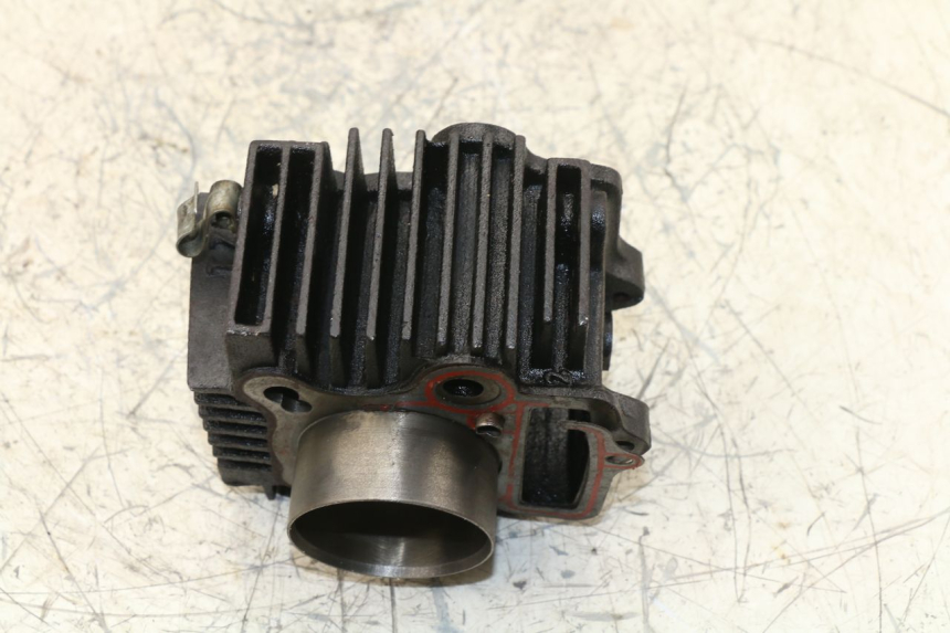 photo de CYLINDER BARREL PANTHERA PANTHERA 110 (2010 - 2017)