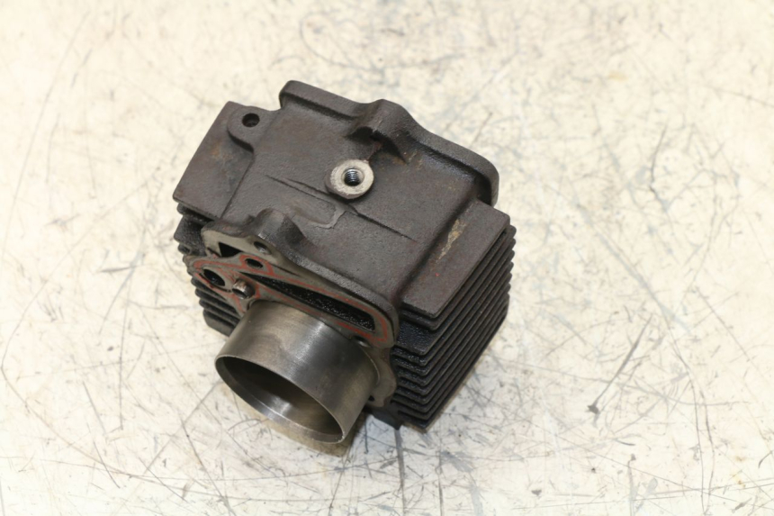 photo de CYLINDER BARREL PANTHERA PANTHERA 110 (2010 - 2017)