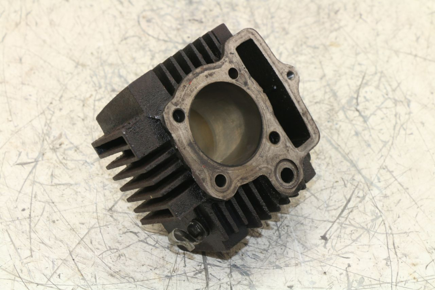 photo de CYLINDER BARREL PANTHERA PANTHERA 110 (2010 - 2017)