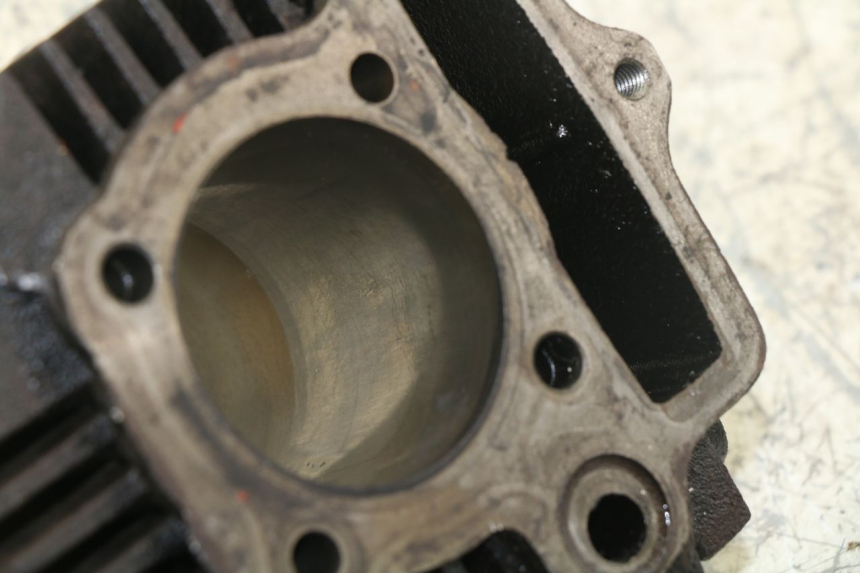 photo de CYLINDER BARREL PANTHERA PANTHERA 110 (2010 - 2017)