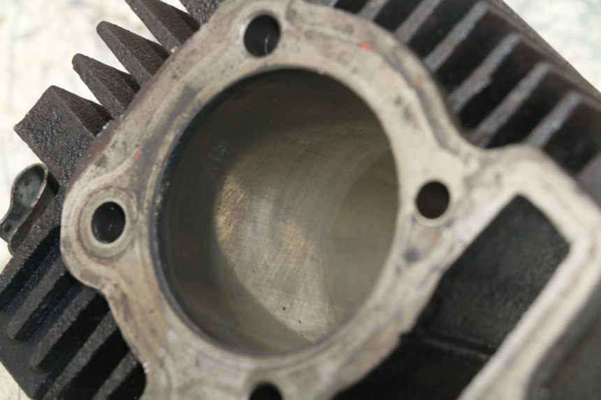 photo de CYLINDER BARREL PANTHERA PANTHERA 110 (2010 - 2017)