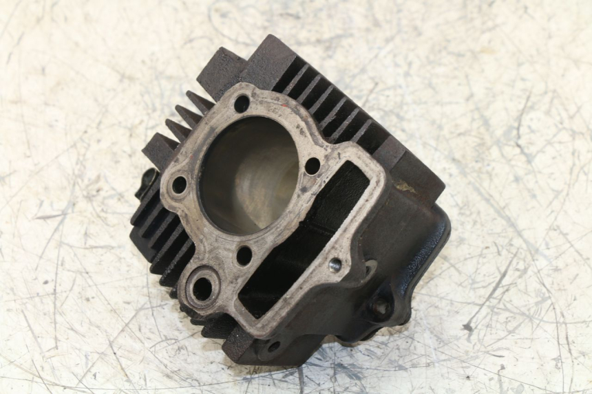 photo de CYLINDER BARREL PANTHERA PANTHERA 110 (2010 - 2017)