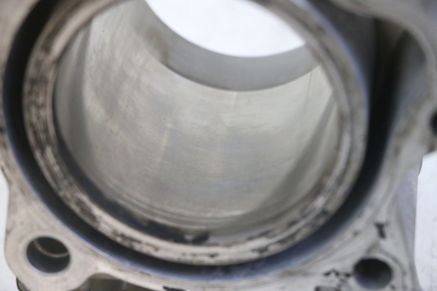 photo de CYLINDER BARREL PISTON HONDA FORZA ABS 300 (2013 - 2019)