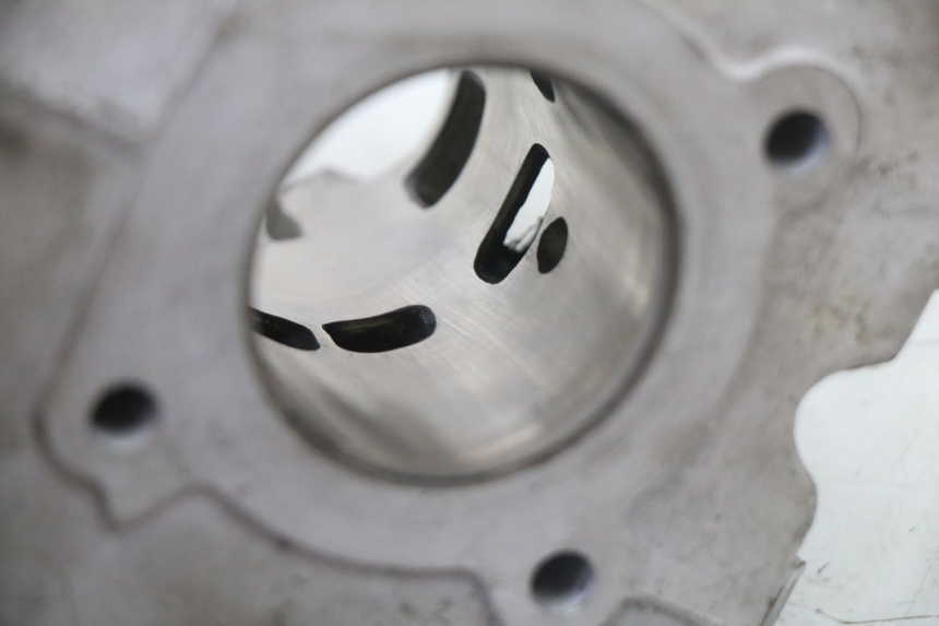 photo de CYLINDER BARREL PISTON PEUGEOT KISBEE 2T 50 (2018 - 2022)