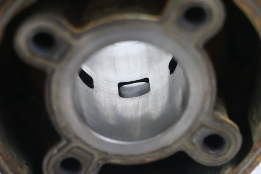 photo de CYLINDER BARREL PISTON RIEJU MRT 50 (2018 - 2021)