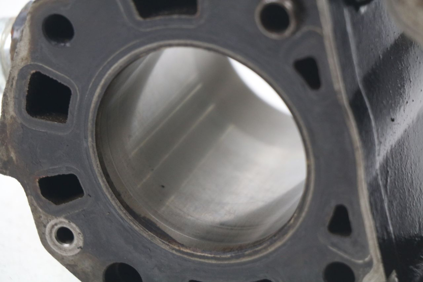 photo de CYLINDER BARREL PISTON GILERA NEXUS 125 (2009 - 2013)