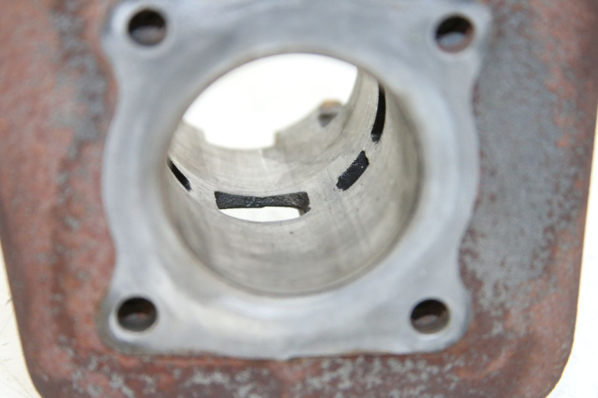 photo de CYLINDER BARREL PISTON PEUGEOT LUDIX 50 (2005 - 2007)