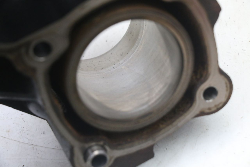 photo de CYLINDER BARREL PISTON PEUGEOT SATELIS 125 (2013 - 2018)
