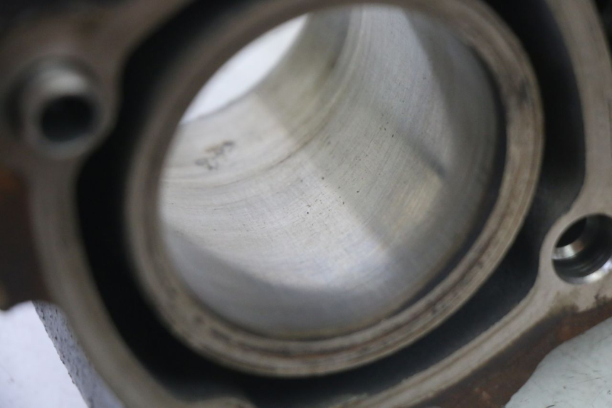 photo de CYLINDER BARREL PISTON PEUGEOT SATELIS 125 (2013 - 2018)