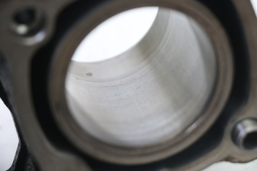 photo de CYLINDER BARREL PISTON PEUGEOT SATELIS 125 (2013 - 2018)