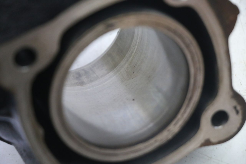photo de CYLINDER BARREL PISTON PEUGEOT SATELIS 125 (2013 - 2018)