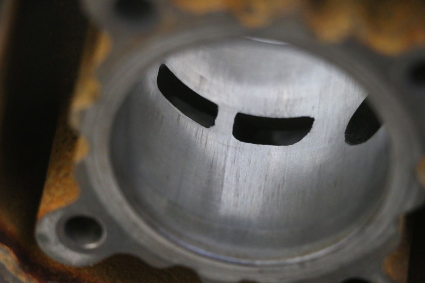 photo de CYLINDER BARREL PISTON DERBI SENDA SM DRD 50 (2008 - 2013)
