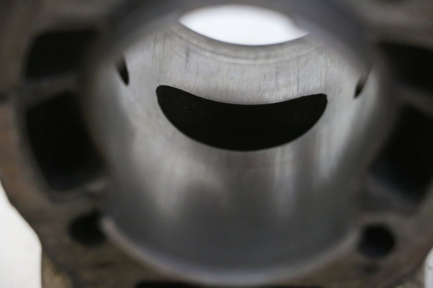 photo de CYLINDER BARREL PISTON DERBI SENDA SM DRD 50 (2008 - 2013)