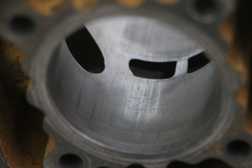 photo de CYLINDER BARREL PISTON DERBI SENDA SM DRD 50 (2008 - 2013)