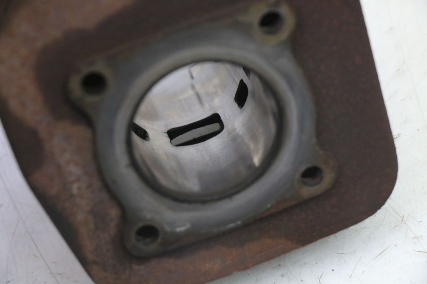 photo de CYLINDER BARREL PISTON PEUGEOT SPEEDFIGHT 3 AIR 50 (2009 - 2015)