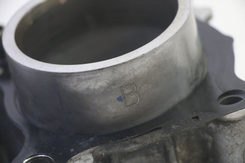 photo de CYLINDER BARREL PISTON YAMAHA TRICITY 300 (2020 - 2024) - Product overview