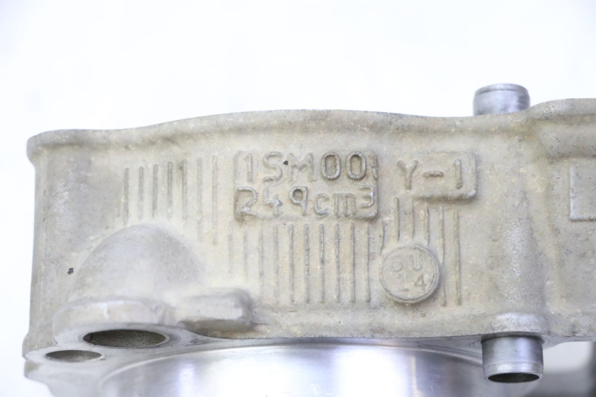 photo de CYLINDER BARREL PISTON YAMAHA YZ-F YZF 250 (2014 - 2018)
