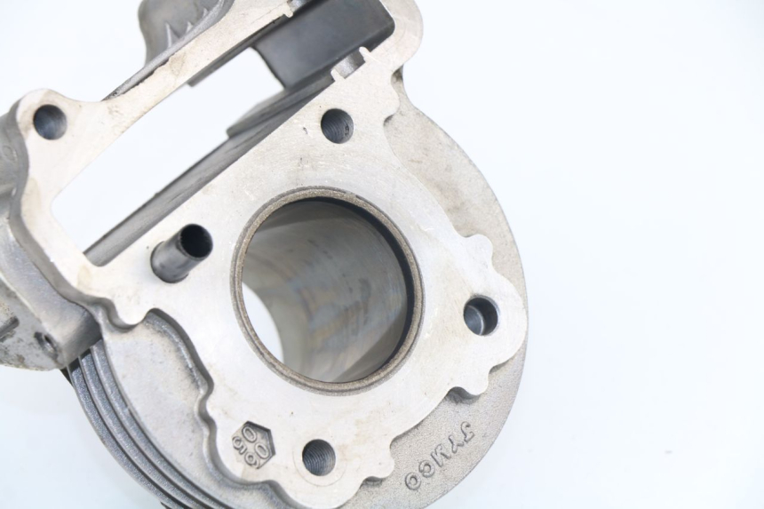 photo de CYLINDER BARREL SHENKE SHOTGUN 50 (2004 - 2012)