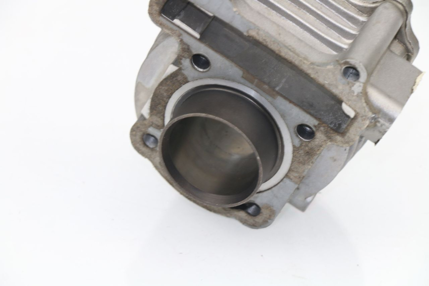 photo de CYLINDER BARREL SHENKE SHOTGUN 50 (2004 - 2012)