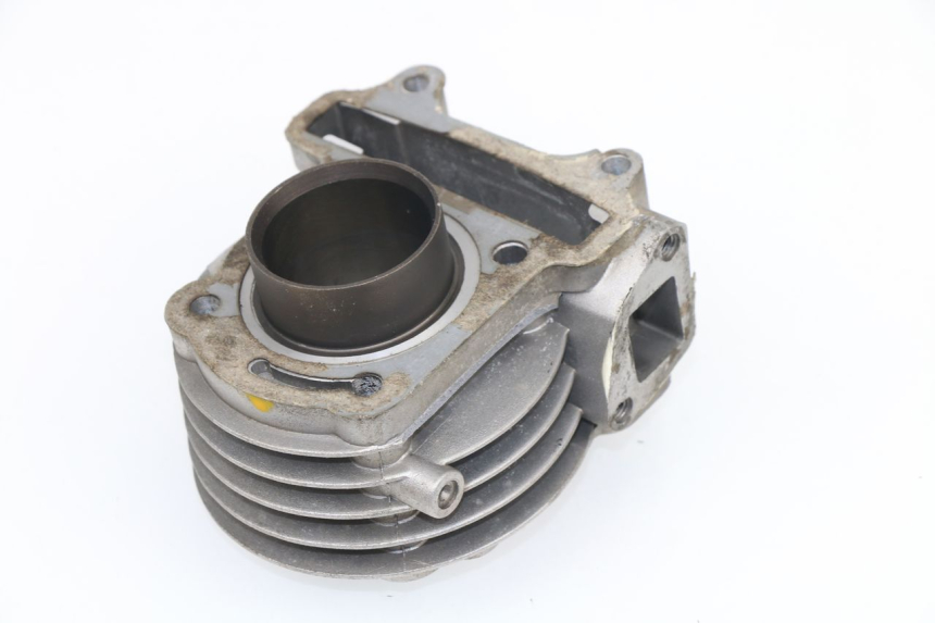 photo de CYLINDER BARREL SHENKE SHOTGUN 50 (2004 - 2012)