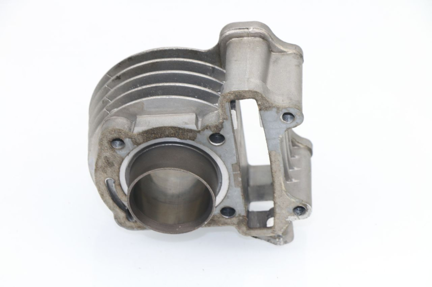 photo de CYLINDER BARREL SHENKE SHOTGUN 50 (2004 - 2012)