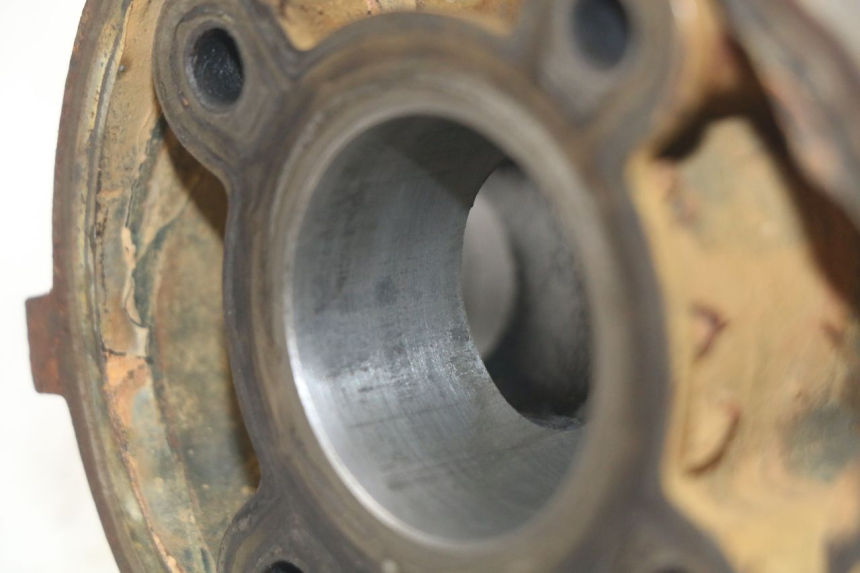 photo de CYLINDER SHERCO SM-R 50 (2018 - 2021)