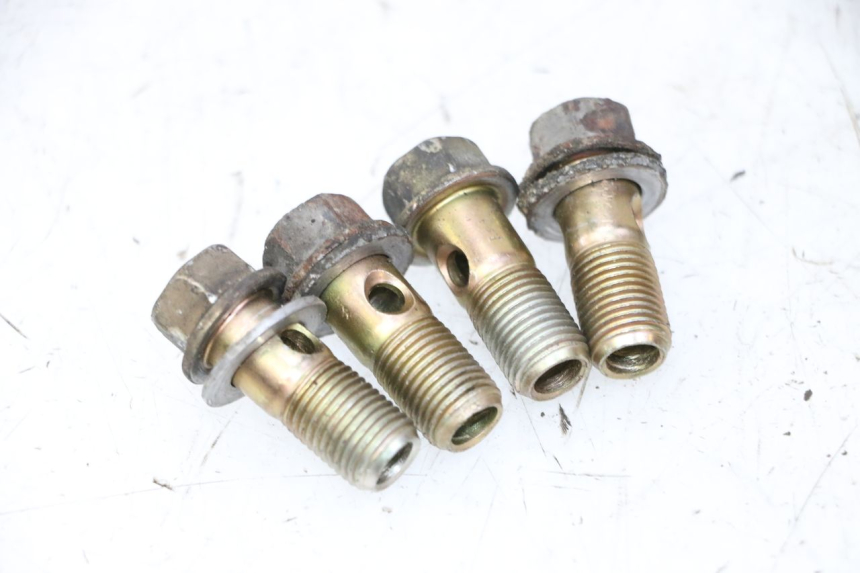 photo de OIL HOSE DAELIM HISTORY 125 (2001 - 2002)