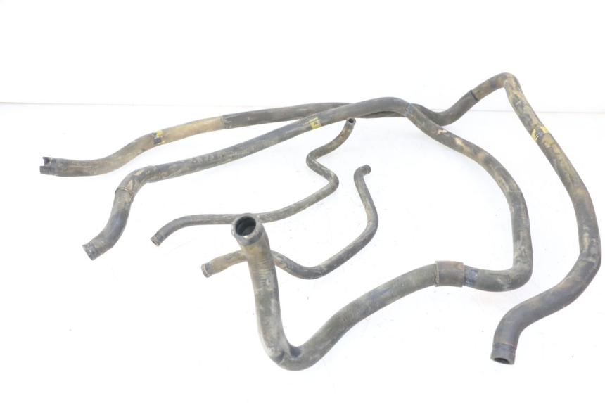 photo de RADIATOR HOSE PIAGGIO MP3 RL 250 (2007 - 2010)