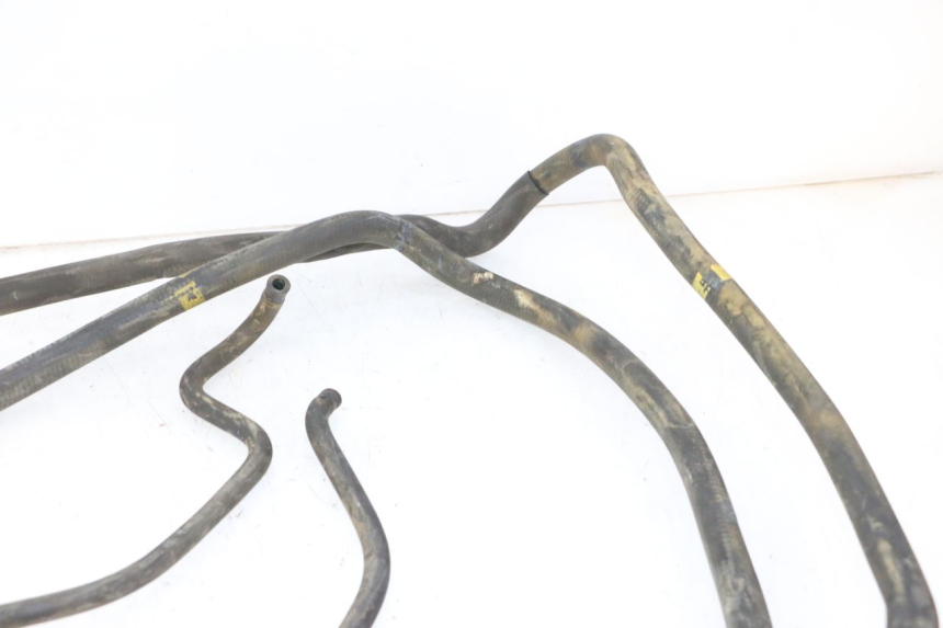 photo de RADIATOR HOSE PIAGGIO MP3 RL 250 (2007 - 2010)