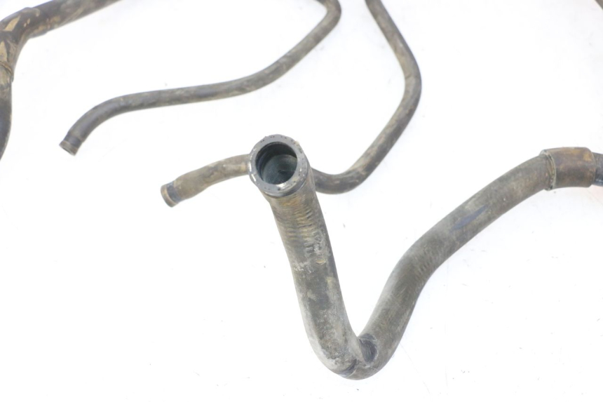 photo de RADIATOR HOSE PIAGGIO MP3 RL 250 (2007 - 2010)