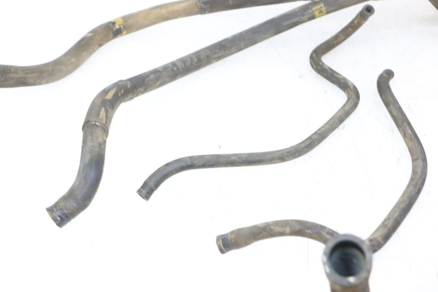 photo de RADIATOR HOSE PIAGGIO MP3 RL 250 (2007 - 2010)