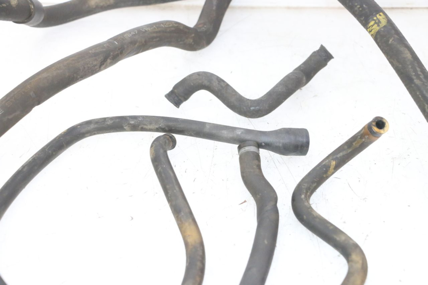 photo de RADIATOR HOSE PIAGGIO MP3 RL 250 (2007 - 2010)