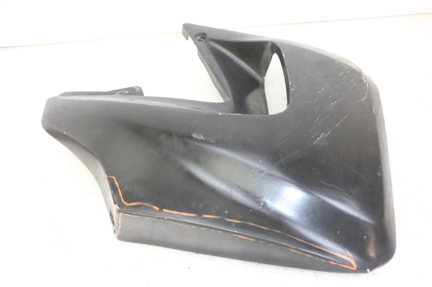 photo de RADIATOR SCOOP YAMAHA TDR DELTABOX 125 (1993 - 2003)