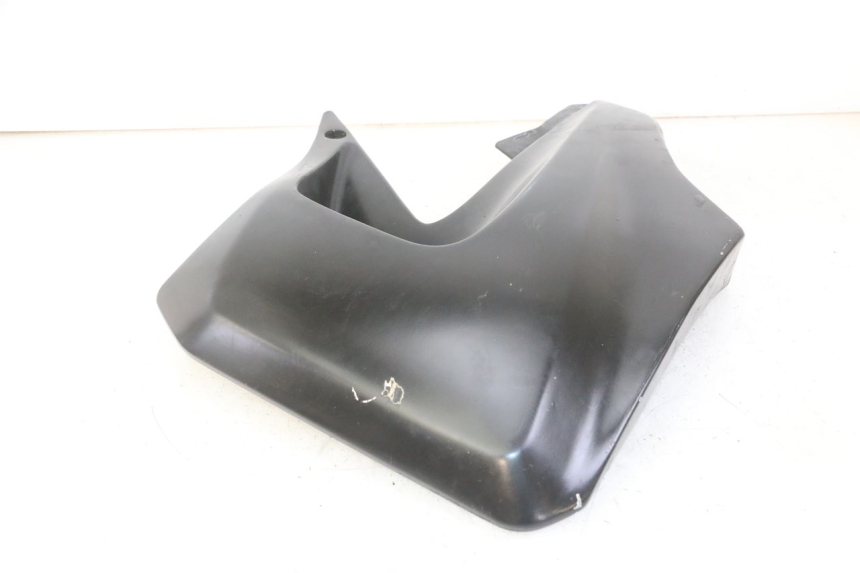 photo de RADIATOR SCOOP YAMAHA TDR DELTABOX 125 (1993 - 2003)