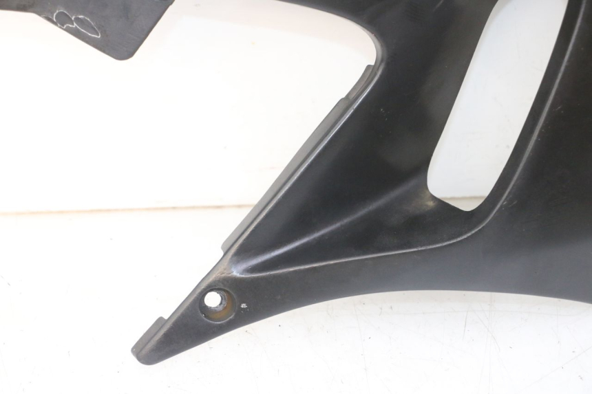 photo de RADIATOR SCOOP YAMAHA TDR DELTABOX 125 (1993 - 2003)