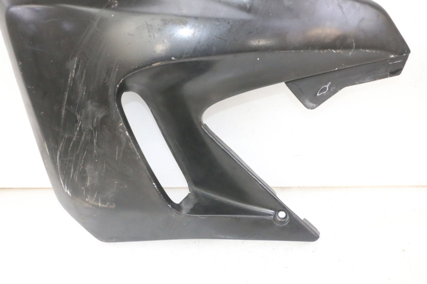 photo de RADIATOR SCOOP YAMAHA TDR DELTABOX 125 (1993 - 2003)
