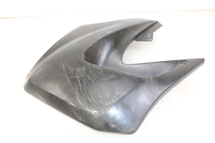 photo de RADIATOR SCOOP YAMAHA TDR DELTABOX 125 (1993 - 2003)