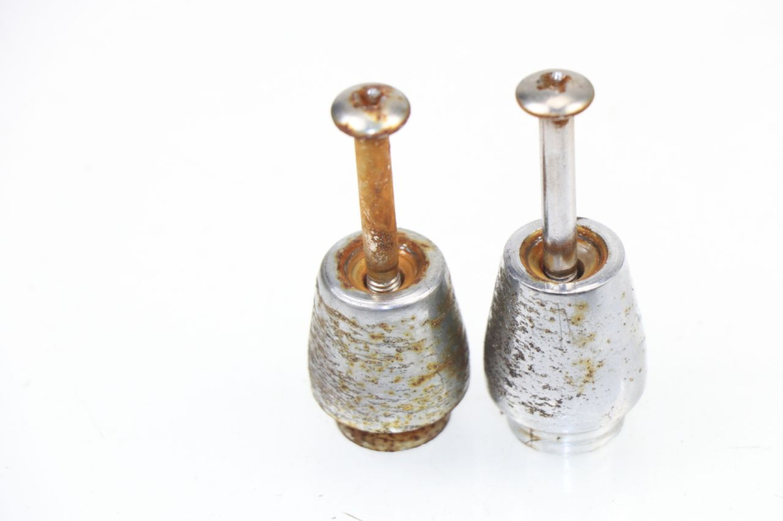 photo de HANDLEBAR ENDS GOWINN DOLCE VITA 125 (2007 - 2013)