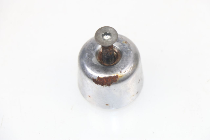 photo de HANDLEBAR END PIAGGIO X7 125 (2007 - 2013)