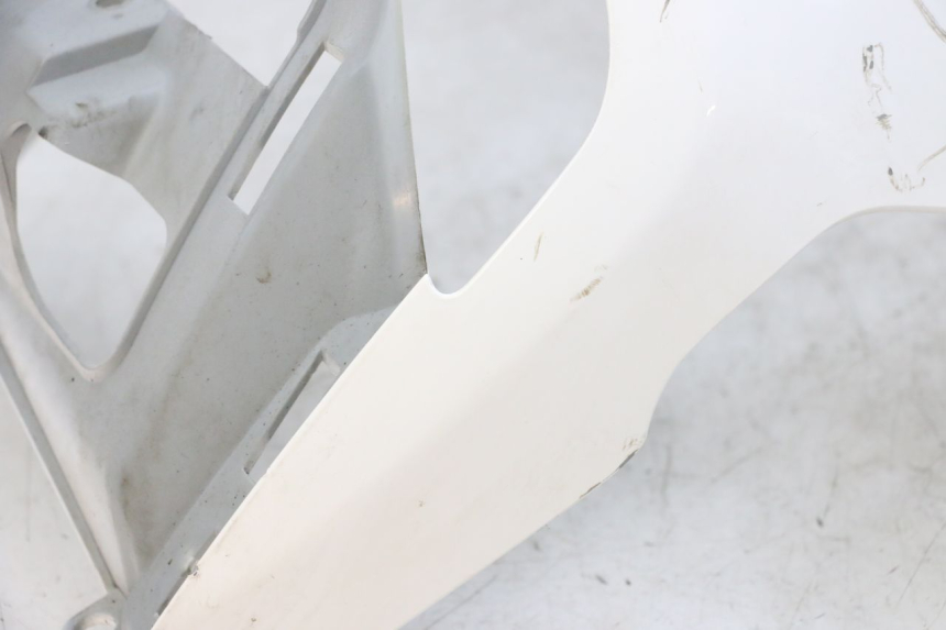 photo de FRONT FAIRING PEUGEOT TWEET PRO EFI 4T 50 (2021 - 2022)