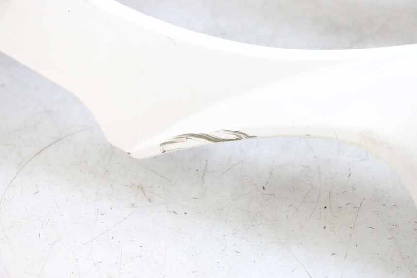 photo de FRONT FAIRING PEUGEOT TWEET PRO EFI 4T 50 (2021 - 2022)