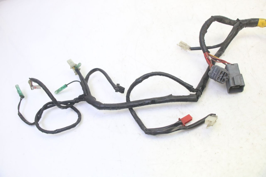 photo de WIRE HARNESS QUADRO 4 4D 350 (2015 - 2018)
