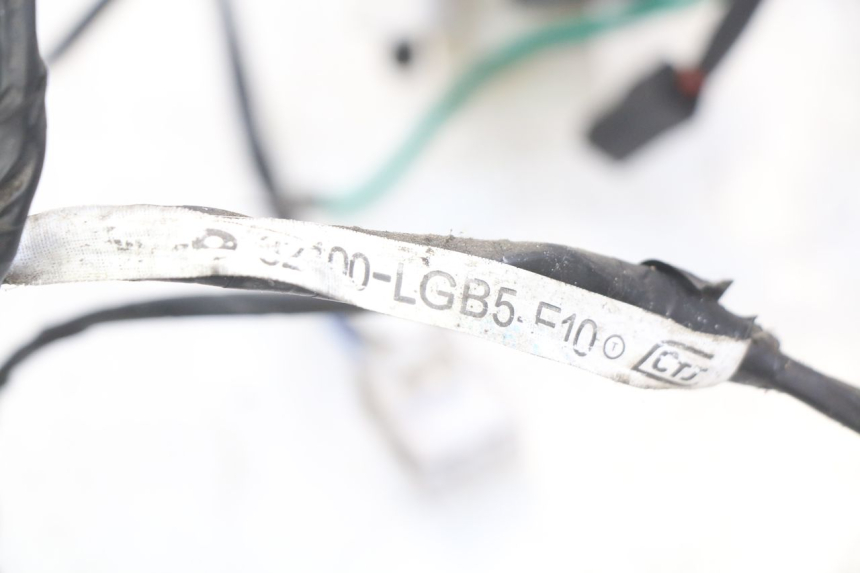 photo de WIRING HARNESS KYMCO AGILITY RS 4T 50 (2009 - 2013)