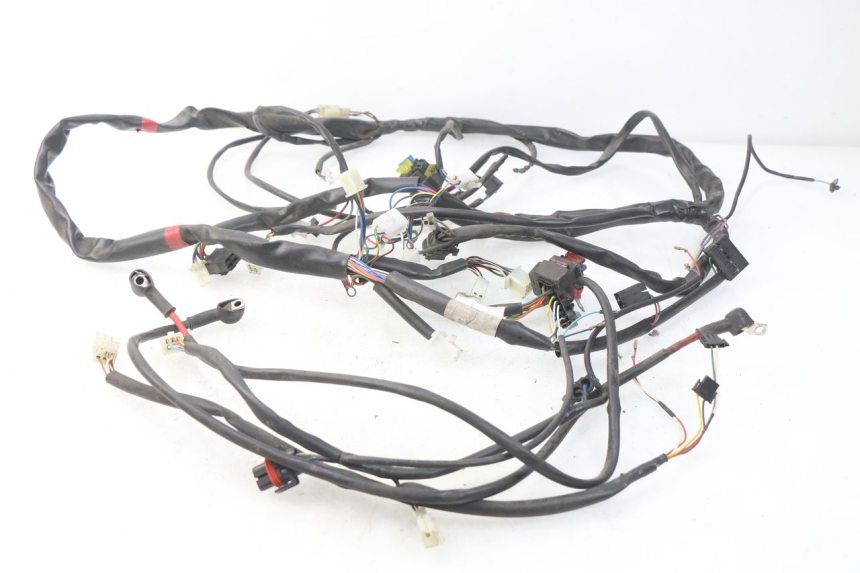 photo de WIRE HARNESS APRILIA ATLANTIC 125 (2003 - 2009)