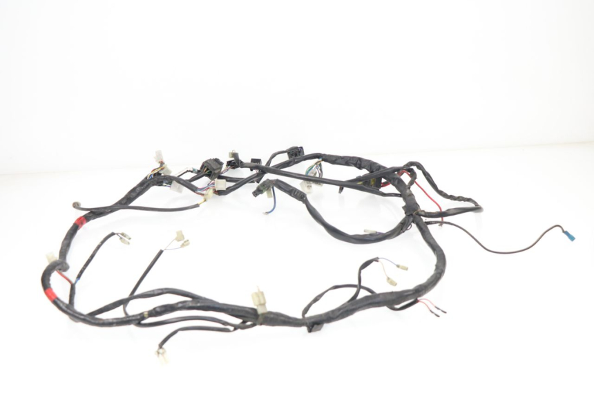 photo de WIRE HARNESS APRILIA ATLANTIC 125 (2003 - 2009)