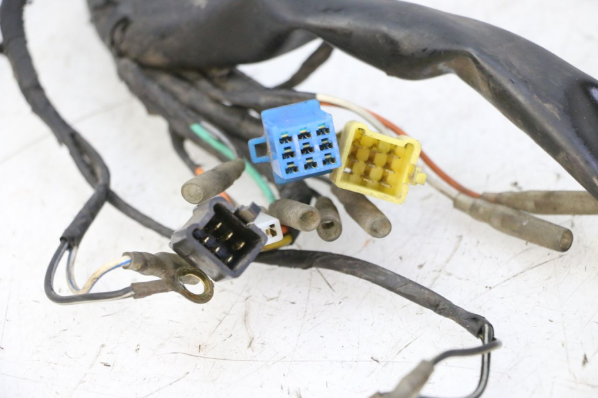 photo de Wiring harness HYOSUNG GV AQUILA 125 (2000 - 2004)