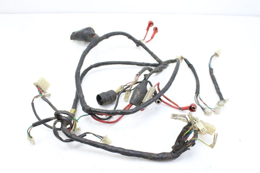 photo de WIRING HARNESS NECO AZZURO 4T 50 (2020 - 2023)